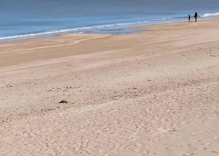 Lägenhet Refait A Neuf En 2025